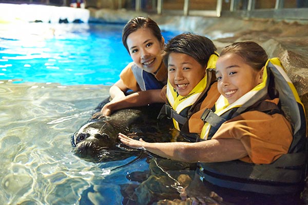 Ocean Park HK to hold show in Dec