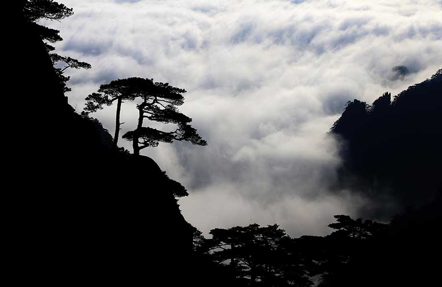 Breathtaking beauty of Mount Huangshan after rainfall