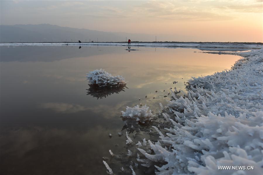 Scenery of Salt Lake in Shanxi