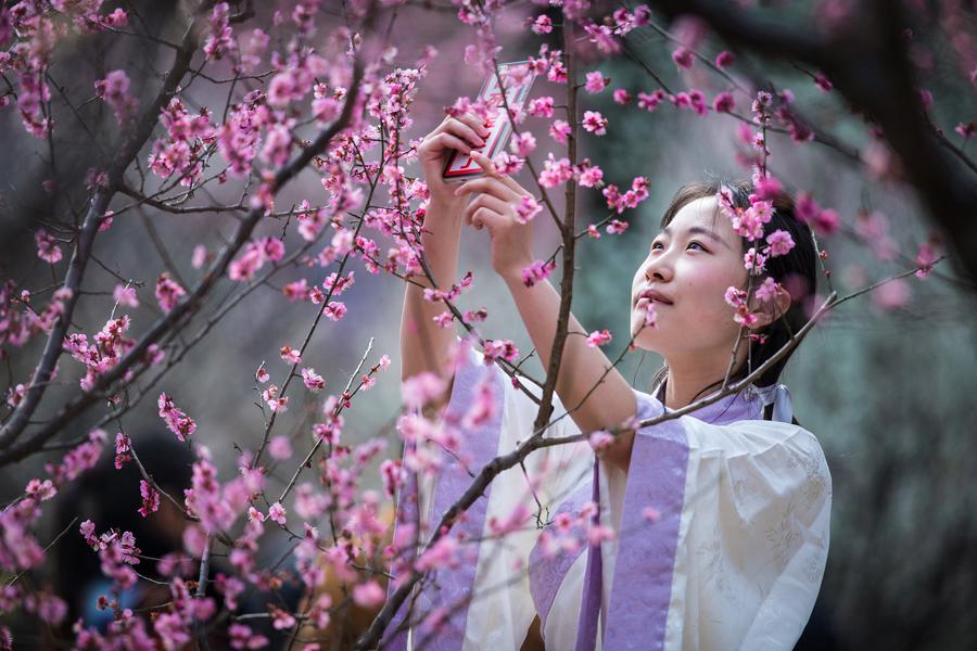 Fresh spring scenery around China