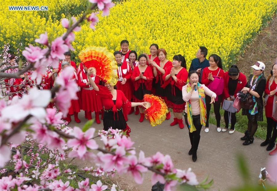 Peach blossom field attracts visitors in Sichuan province