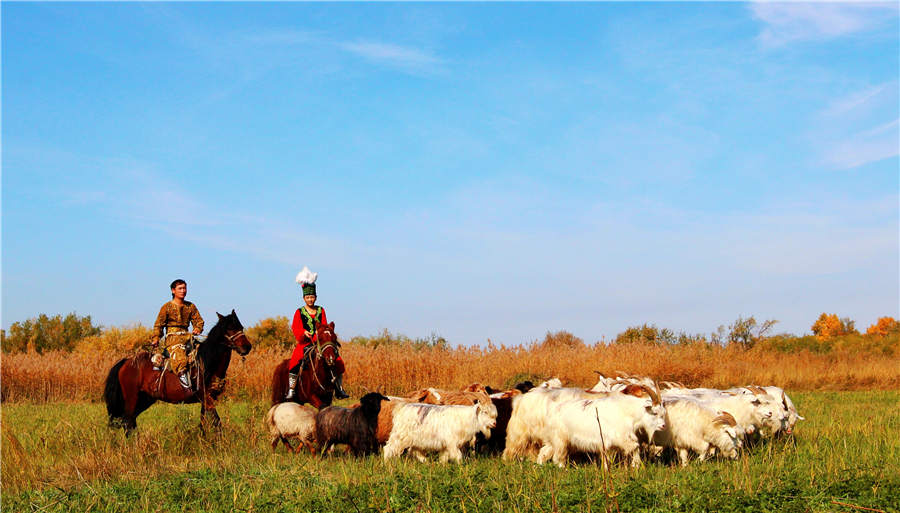 Bloomy Tacheng: A beautiful tourist attraction