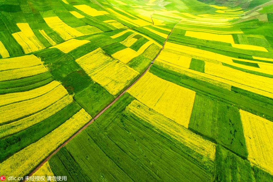 Qinghai in summer: a land of heaven