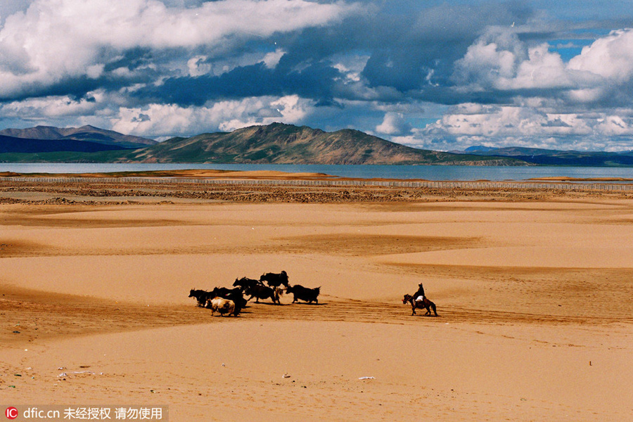 Qinghai in summer: a land of heaven