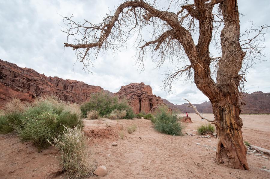 Amazing scenery of Tomur Grand Canyon in Xinjiang