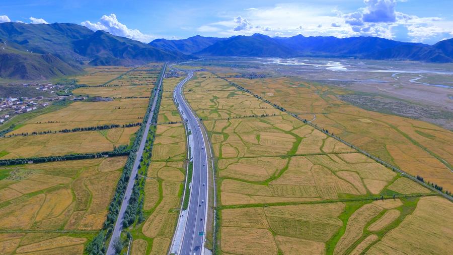 Aerial photos show golden field in valley of Lhasa River