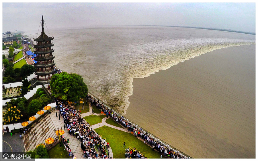 Meet Hangzhou's annual Qiantang River tidal bore