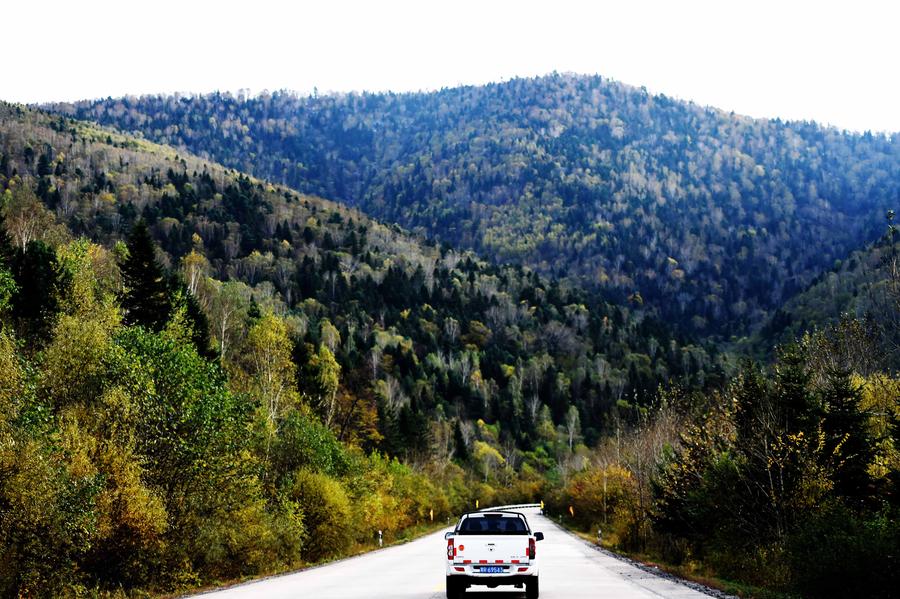 Autumn scenery in Yichun, Heilongjiang province