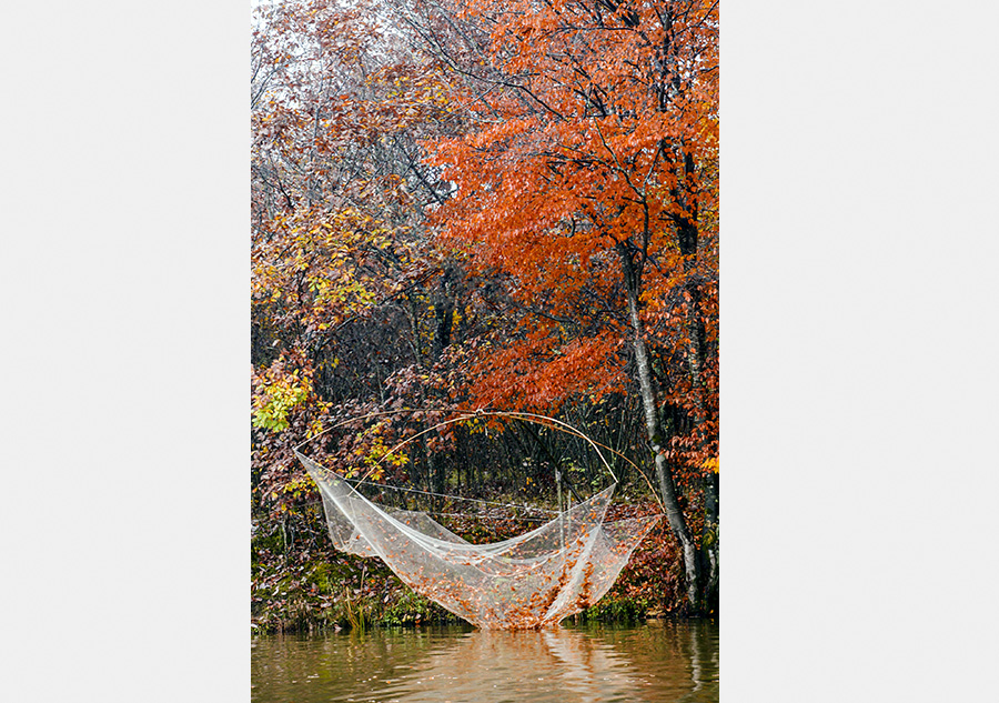 Autumn scenery of Shennongjia, Hubei province