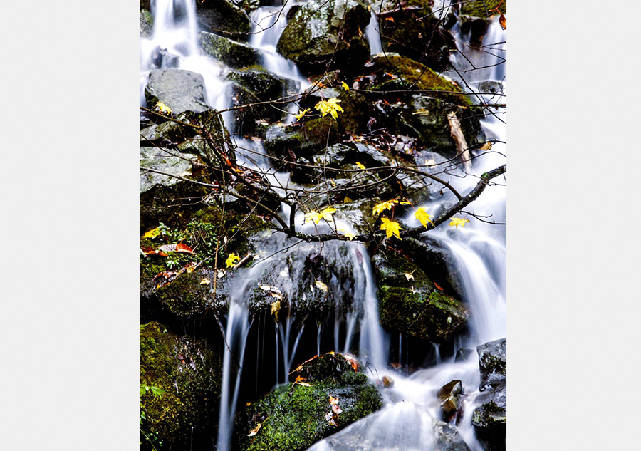 Autumn scenery of Shennongjia, Hubei province