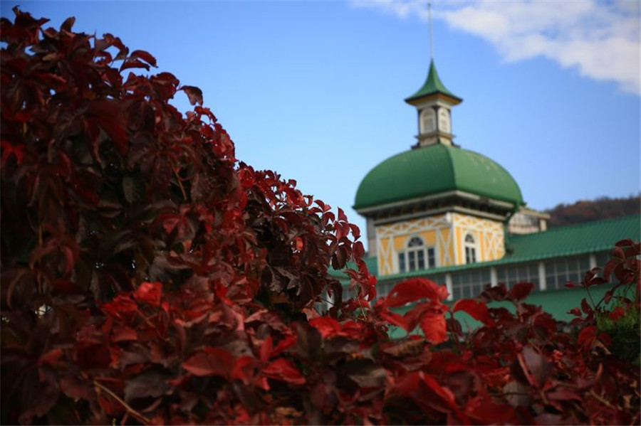 Fabulous autumn foliage in Dalian