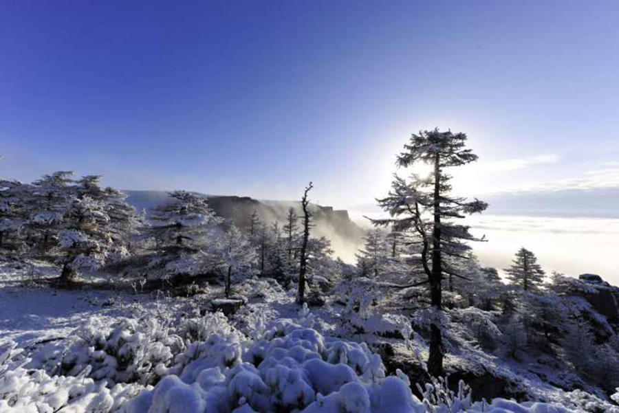 Serene scenery on snowy Luya Mountain