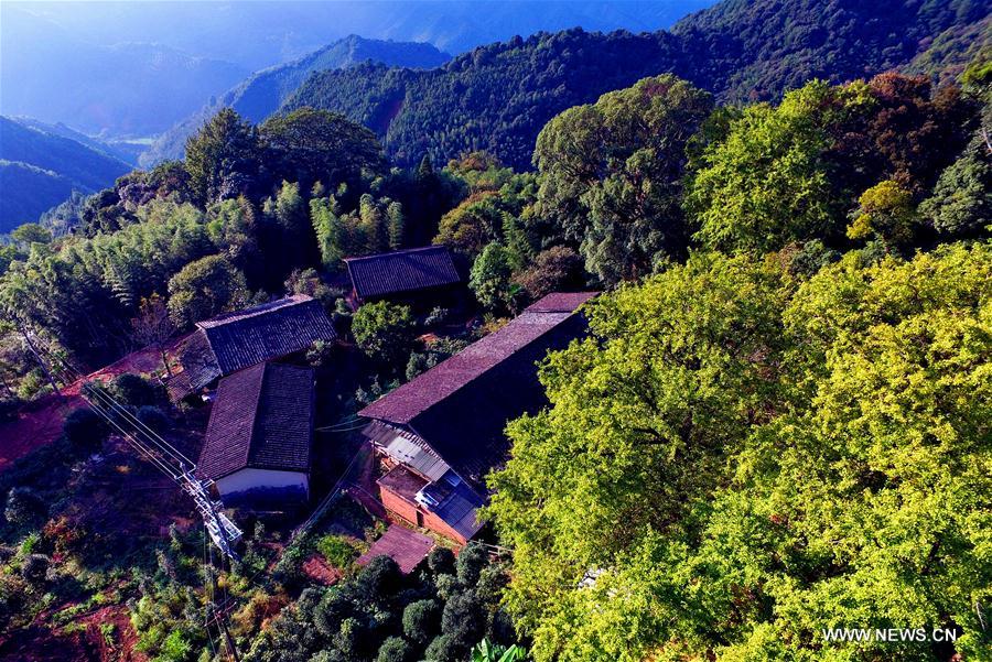 Autumn scenery at Tianping village in SE China