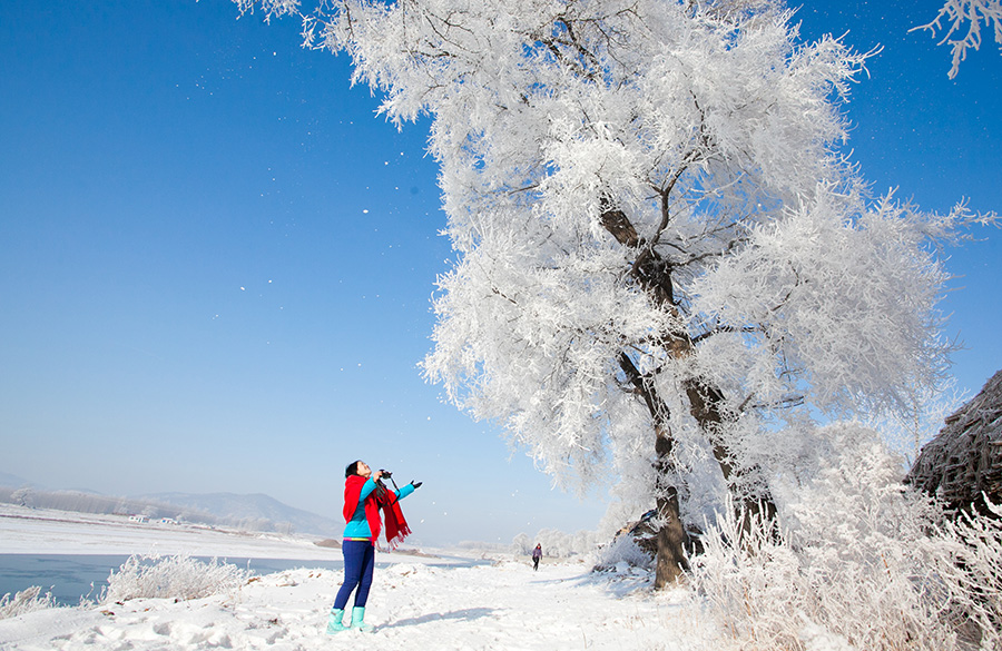 Rime creates a stunning winter scene in Jilin