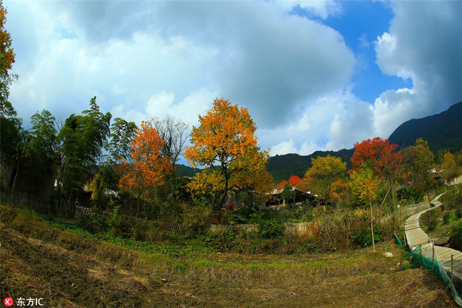 Tachuan a top destination for autumn photography