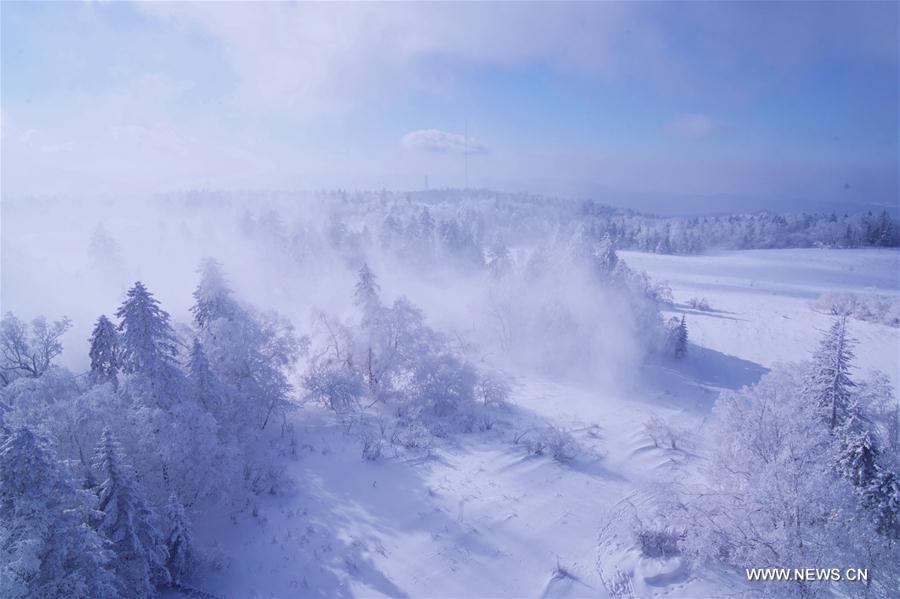 Rime scenery of Xianfeng Forest Park in Northeast China