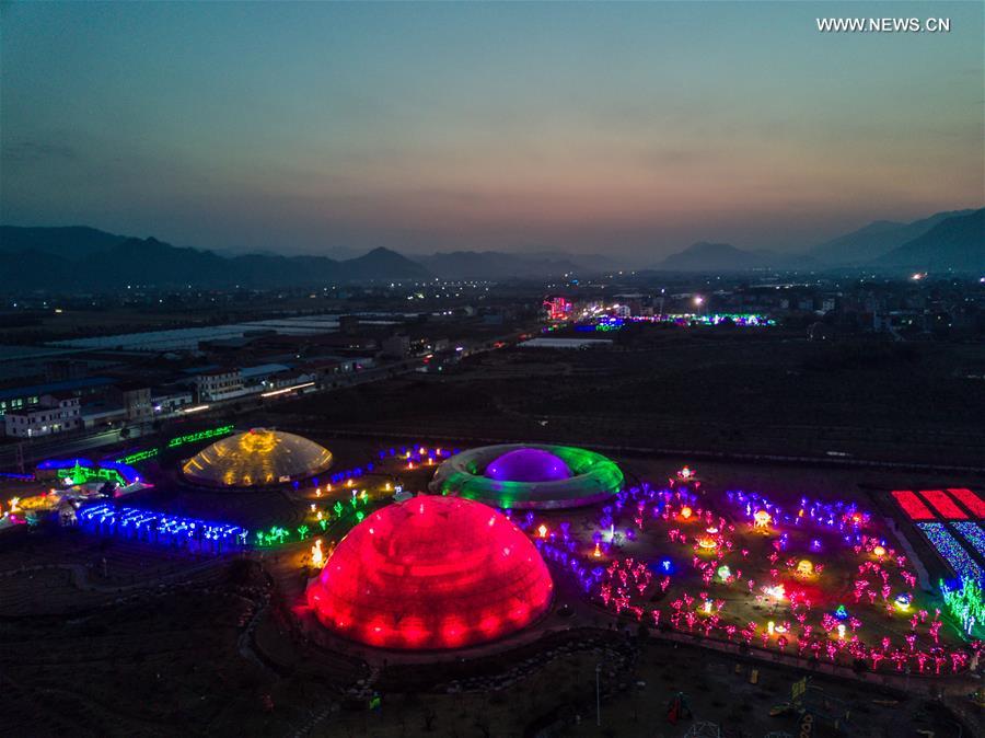 Thousands of rose-shaped lights light up county