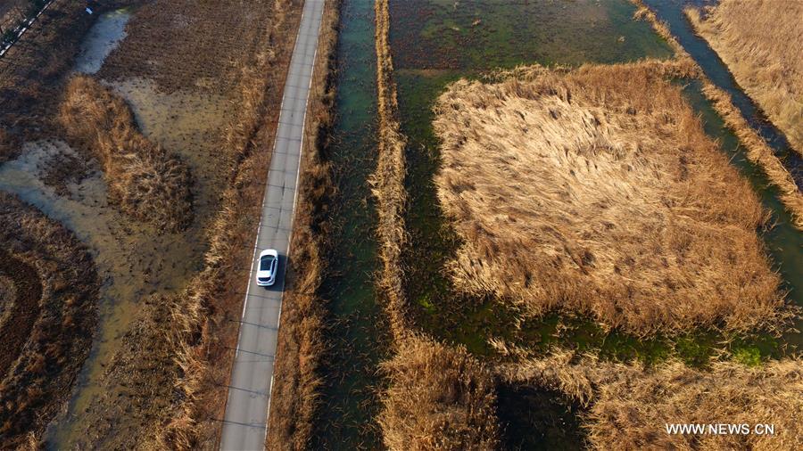 Scenery of canal wetland park in E China