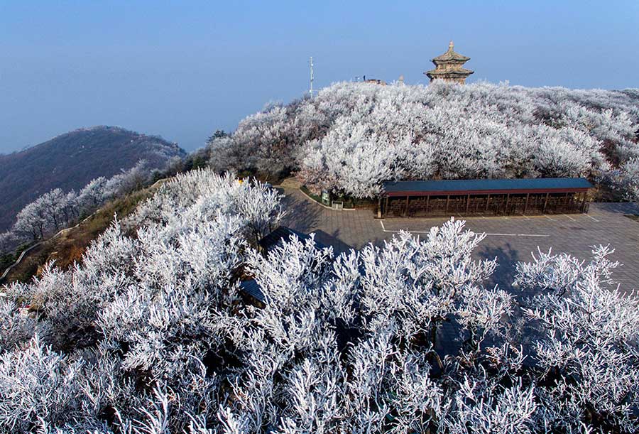 Frosted beauty captured in rime at Huaguo mountain, Jiangsu province