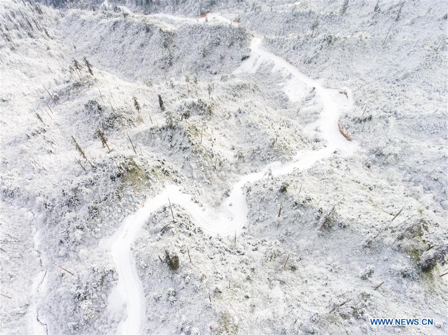 Snow-covered Longcanggou National Forest Park