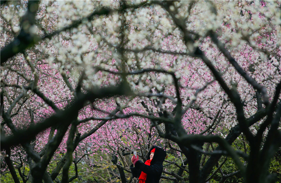 Blooming flowers bring promise of spring