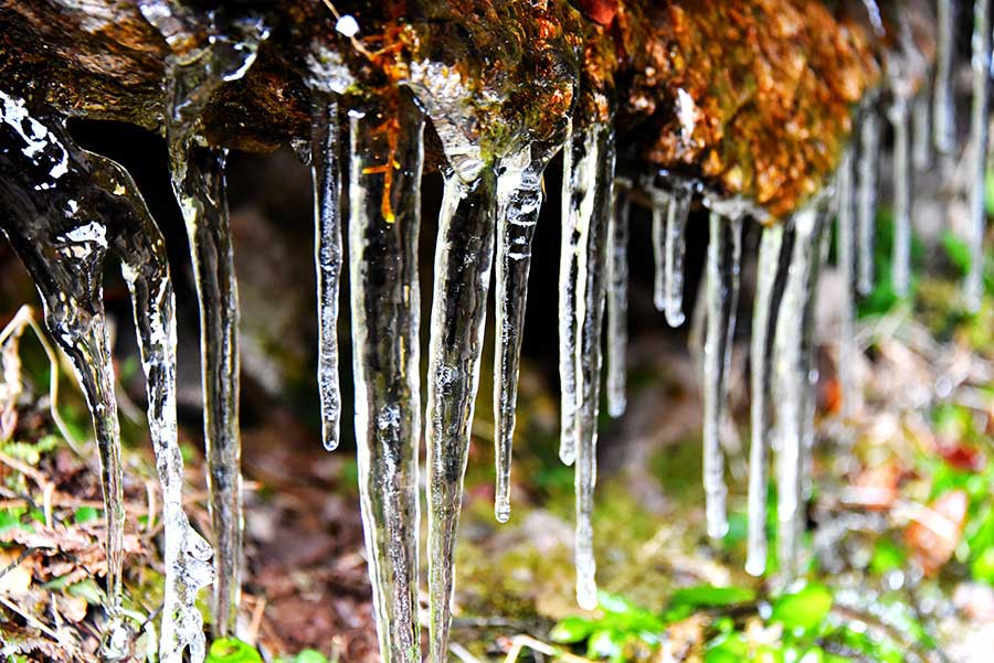 Icicles add to waterfall beauty