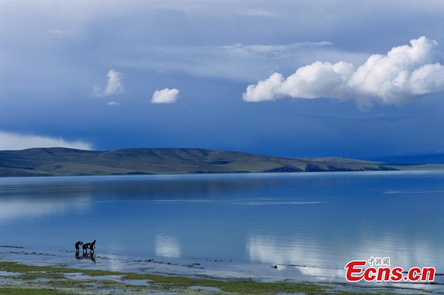 In pics: Scenery of Lake Manasarovar in Tibet