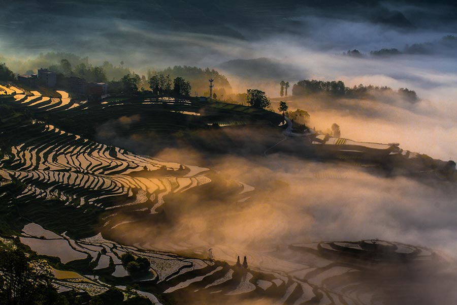 Youyang terraces in Chongqing capture beauty of nature