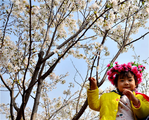 Flocking to flowers