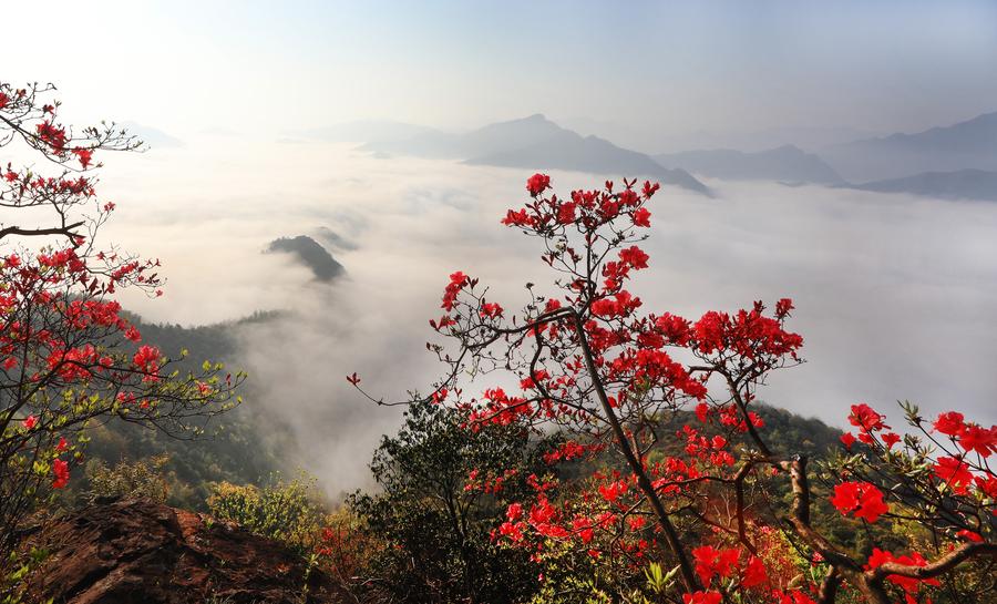 Mountain scenery in E China's Anhui