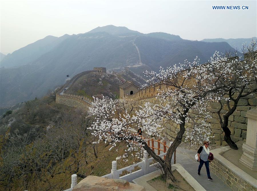 Spring scenery of Mutianyu section of Great Wall in Beijing