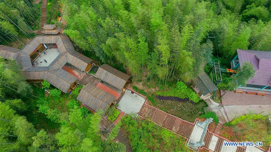 Aerial view of Bamboo Forest Park in SW China