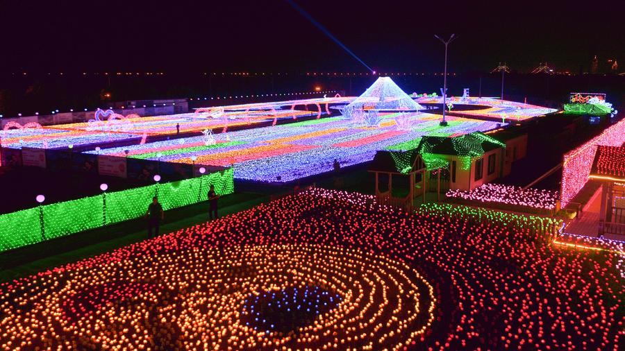 2017 Harbin Int'l Rose Light Festival opens in NE China