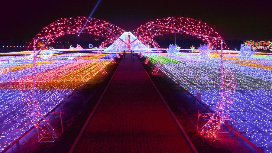 2017 Harbin Int'l Rose Light Festival opens in NE China