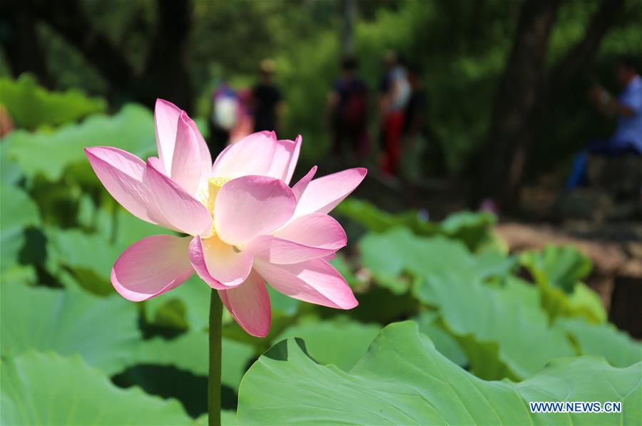 Amazing scenery of Chengde Mountain Resort in Hebei