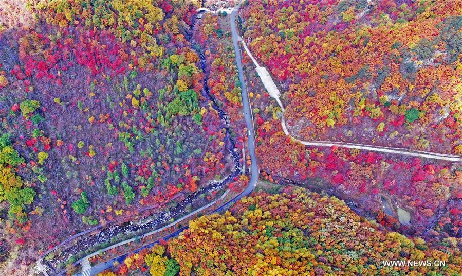 Autumn scenery in NE China's Liaoning