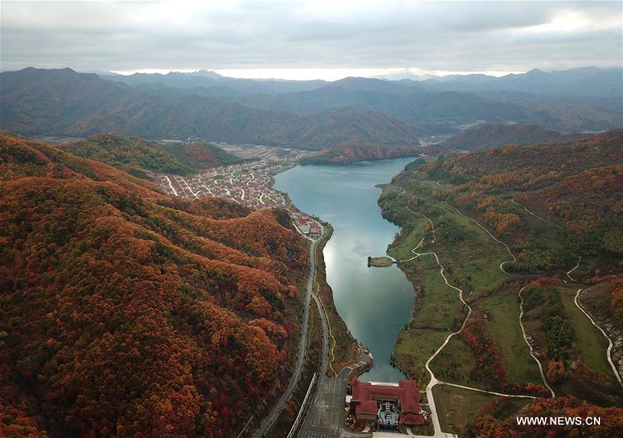 Autumn scenery in NE China's Liaoning