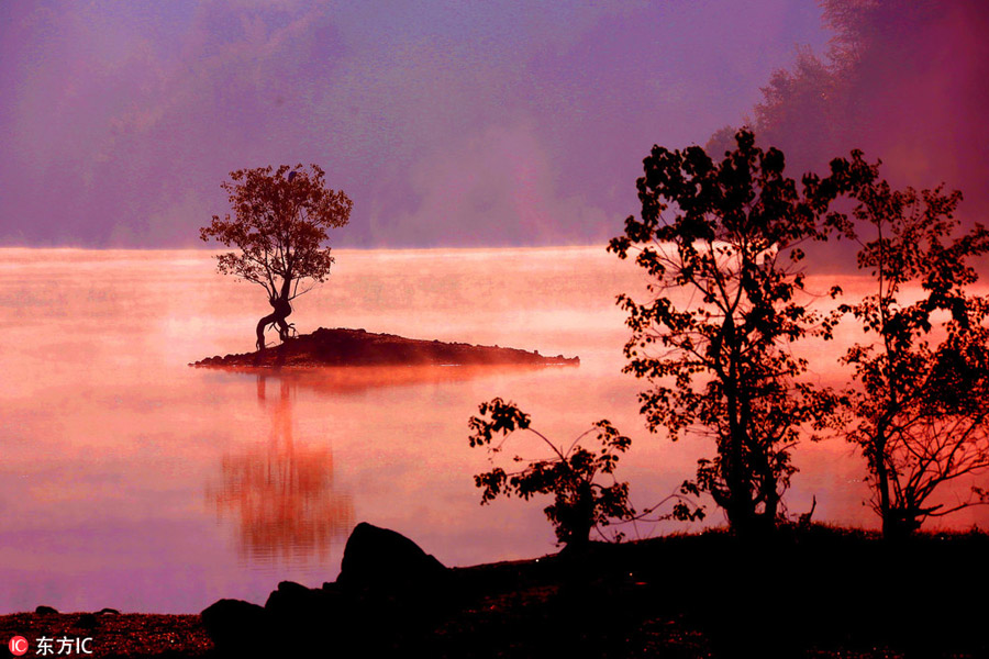 Morning mist reveals beauty of Huangshan Mountain