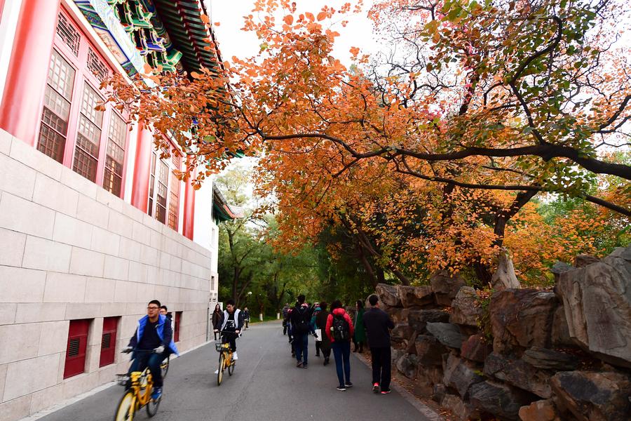 People enjoy autumn scenery in Peking University