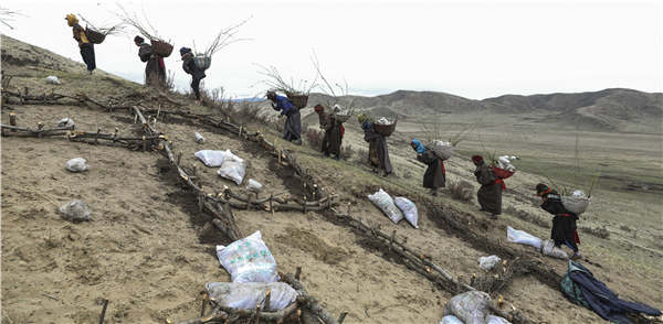 Reclaiming the desert