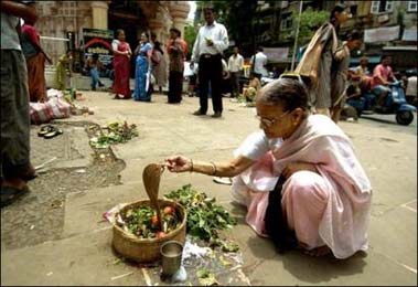 Charmed woman marries cobra in India