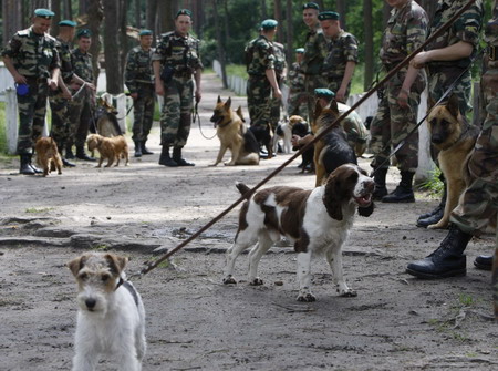 Border guard dog training in Ukrain