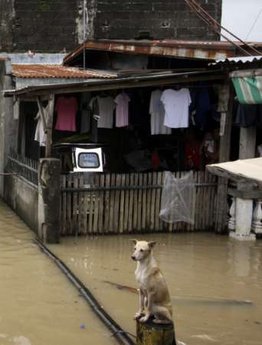 Philippines braces for new storm as toll hits 246