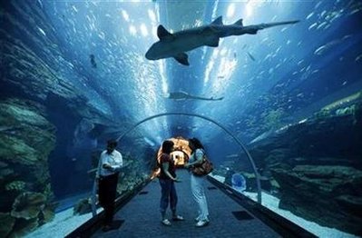 'Small break' in aquarium at Dubai's biggest mall