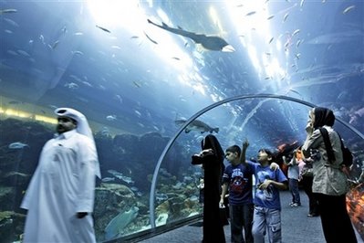 'Small break' in aquarium at Dubai's biggest mall