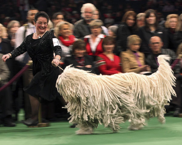 Westminster Kennel Club Dog Show