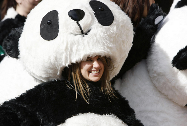 'Pandas' hot to globe-trot