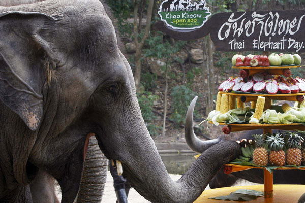 Thailand's National Elephant Day