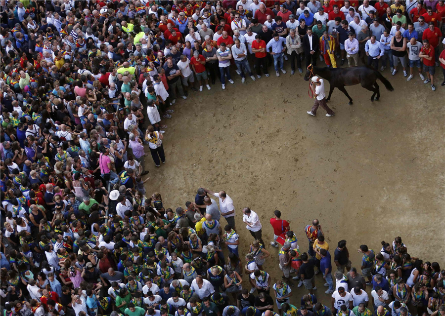 Horse races in Siena, Italy