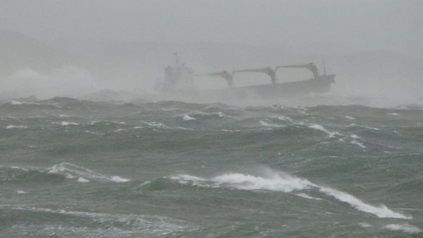 9 die as ship sinks off ROK, including Chinese